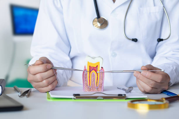Best Emergency Dental Care for Broken or Chipped Teeth in Taft, CA